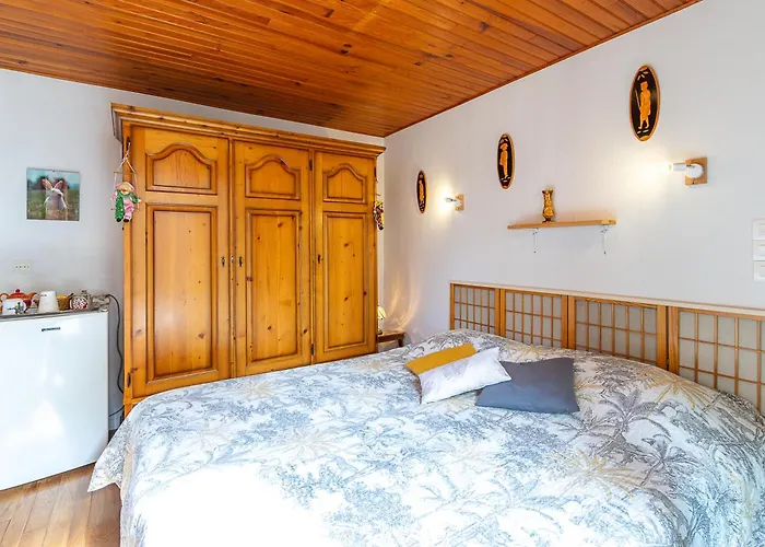 Maison d'hôtes Sous Les Mimosas 2kms 3*