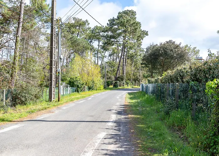 Sous Les Mimosas 2kms Maison d'hôtes