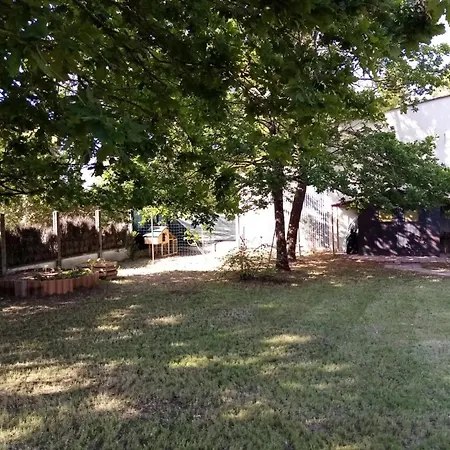 Sous Les Mimosas 2kms Saint-Jean-de-Monts