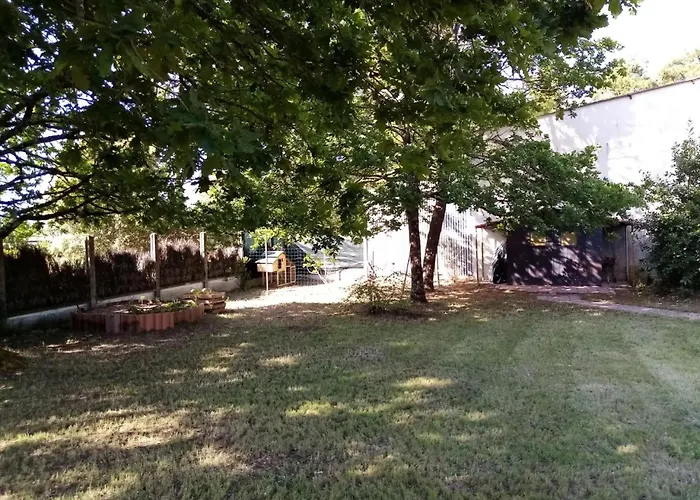 Sous Les Mimosas 2kms Saint-Jean-de-Monts